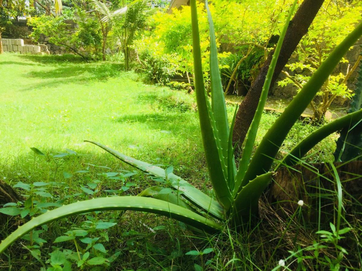 Ganesh House Ayurveda Homestay Kovalam Eksteriør billede