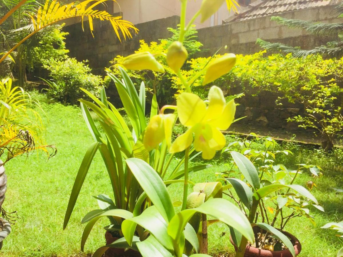 Ganesh House Ayurveda Homestay Kovalam Eksteriør billede